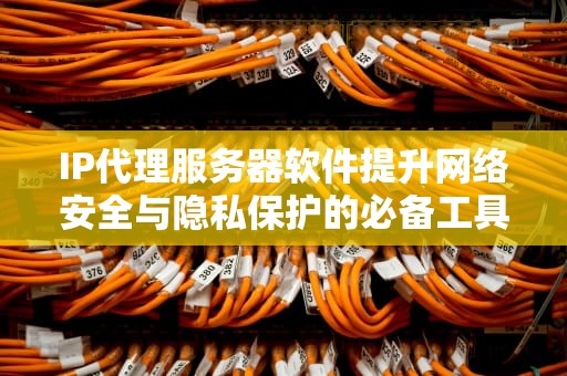 IP代理服务器软件提升网络安全与隐私保护的必备工具