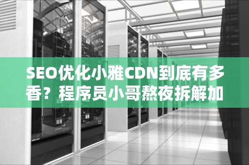 SEO优化小雅CDN到底有多香？程序员小哥熬夜拆解加速内幕，看完我直接跪了！