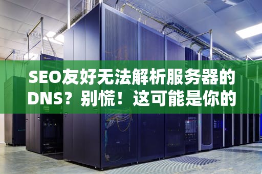 SEO友好无法解析服务器的DNS？别慌！这可能是你的『网络导航仪』迷路了！