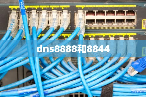 dns8888和8844