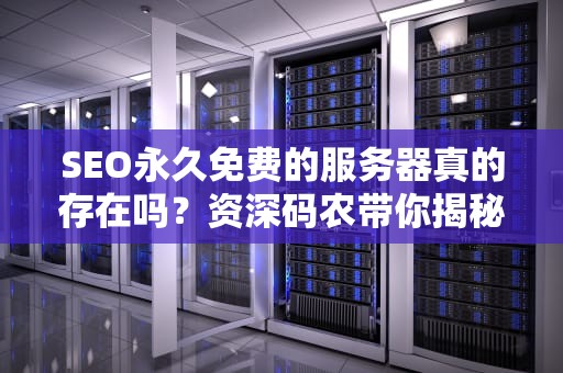 SEO永久免费的服务器真的存在吗？资深码农带你揭秘真相与避坑指南
