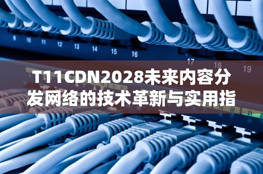 T11CDN2028未来内容分发网络的技术革新与实用指南