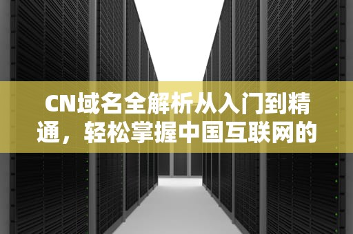 CN域名全解析从入门到精通，轻松掌握中国互联网的“身份证”