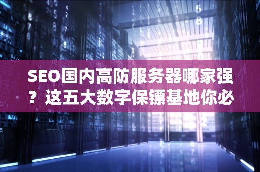 SEO国内高防服务器哪家强？这五大数字保镖基地你必须知道！