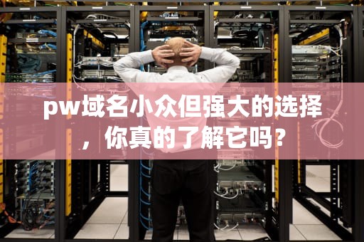 pw域名小众但强大的选择，你真的了解它吗？
