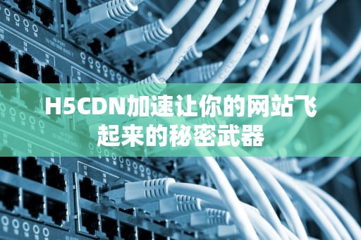 H5CDN加速让你的网站飞起来的秘密武器