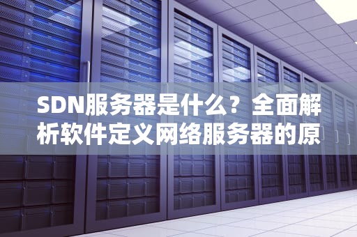 SDN服务器是什么？全面解析软件定义网络服务器的原理与应用