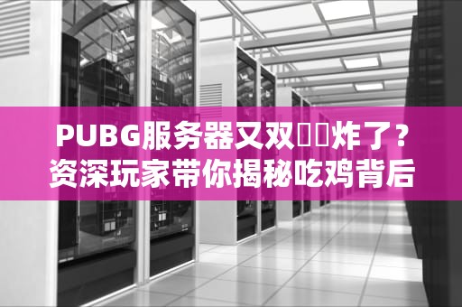 PUBG服务器又双叒叕炸了？资深玩家带你揭秘吃鸡背后的技术修罗场