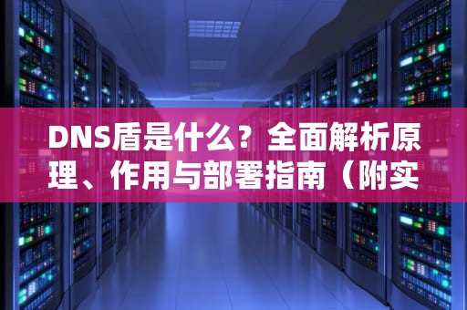DNS盾是什么？全面解析原理、作用与部署指南（附实用建议）