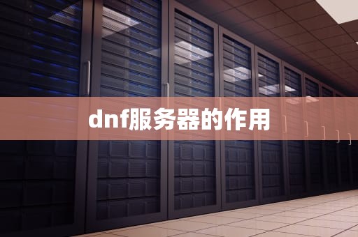 dnf服务器的作用