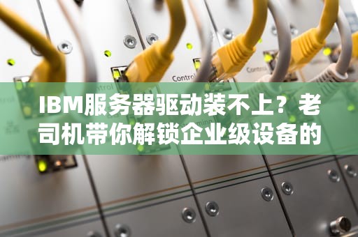 IBM服务器驱动装不上？老司机带你解锁企业级设备的正确姿势