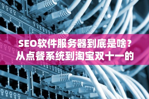 SEO软件服务器到底是啥？从点餐系统到淘宝双十一的打工魂科普