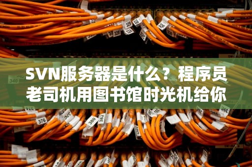 SVN服务器是什么？程序员老司机用图书馆时光机给你形象科普