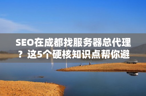 SEO在成都找服务器总代理？这5个硬核知识点帮你避坑省钱