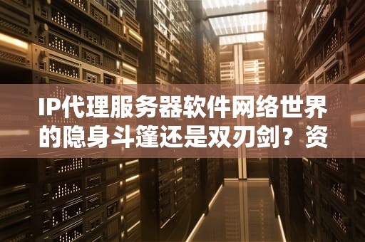 IP代理服务器软件网络世界的隐身斗篷还是双刃剑？资深工程师带你揭秘