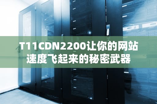 T11CDN2200让你的网站速度飞起来的秘密武器
