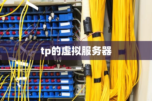 tp的虚拟服务器