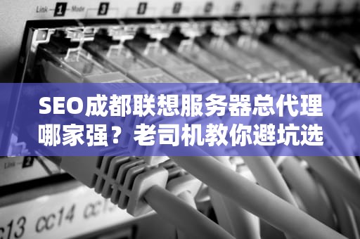 SEO成都联想服务器总代理哪家强？老司机教你避坑选机指南