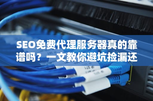 SEO免费代理服务器真的靠谱吗？一文教你避坑捡漏还能当冲浪王者！
