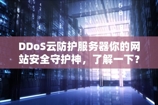 DDoS云防护服务器你的网站安全守护神，了解一下？