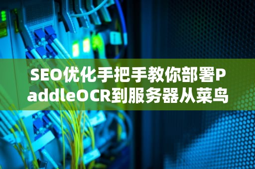 SEO优化手把手教你部署PaddleOCR到服务器从菜鸟到大神的避坑指南