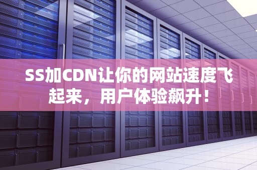 SS加CDN让你的网站速度飞起来，用户体验飙升！