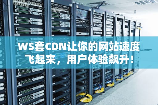 WS套CDN让你的网站速度飞起来，用户体验飙升！