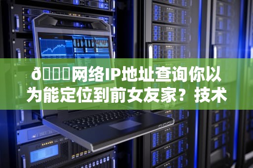 🌐网络IP地址查询你以为能定位到前女友家？技术宅笑着打开了奶茶店地图🌐