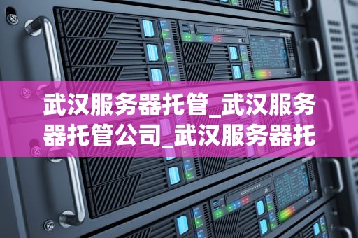 武汉服务器托管_武汉服务器托管公司_武汉服务器托管的全面解析