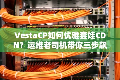 VestaCP如何优雅套娃CDN？运维老司机带你三步飙车不翻车