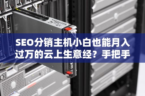 SEO分销主机小白也能月入过万的云上生意经？手把手教你玩转服务器二道贩子