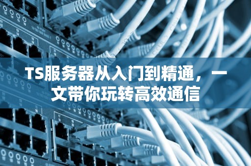 TS服务器从入门到精通，一文带你玩转高效通信
