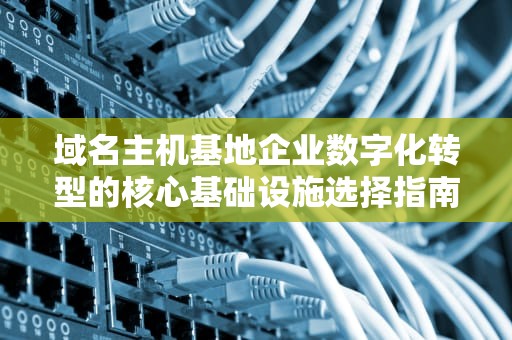 域名主机基地企业数字化转型的核心基础设施选择指南
