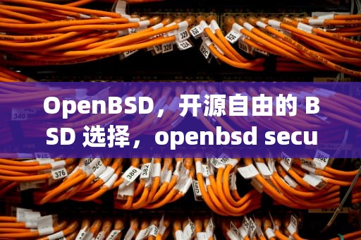 OpenBSD，开源自由的 BSD 选择，openbsd secure shell server