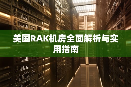 美国RAK机房全面解析与实用指南