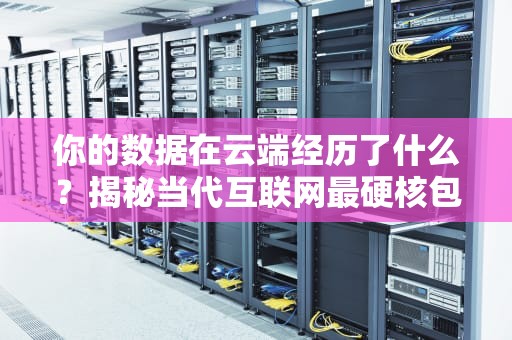 你的数据在云端经历了什么？揭秘当代互联网最硬核包租公生存指南