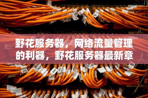 野花服务器，网络流量管理的利器，野花服务器最新章节txt