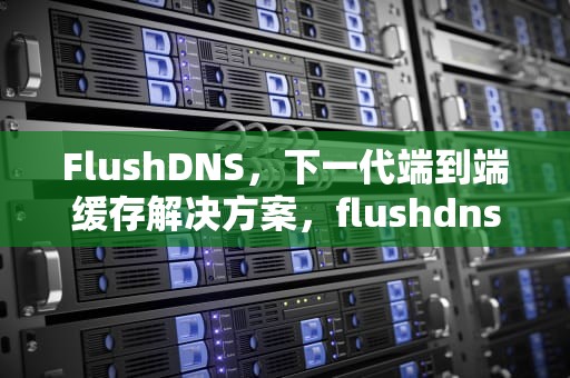 FlushDNS，下一代端到端缓存解决方案，flushdns命令的作用