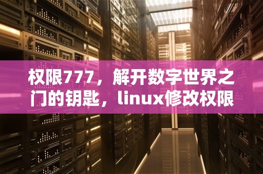 权限777，解开数字世界之门的钥匙，linux修改权限777