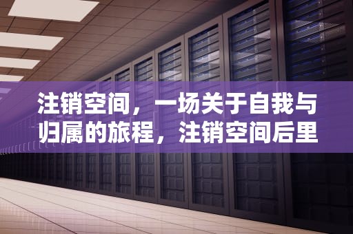 注销空间，一场关于自我与归属的旅程，注销空间后里面的数据会消失吗