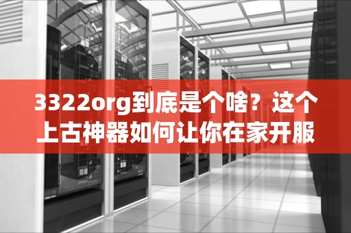 3322org到底是个啥？这个上古神器如何让你在家开服务器？