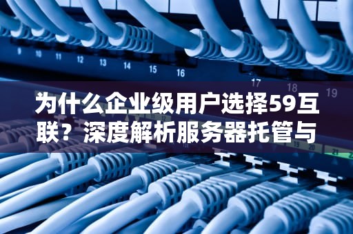 为什么企业级用户选择59互联？深度解析服务器托管与云计算服务的核心优势
