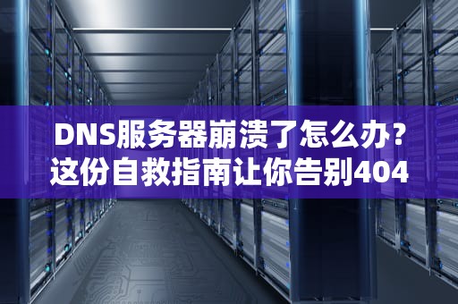 DNS服务器崩溃了怎么办？这份自救指南让你告别404绝望