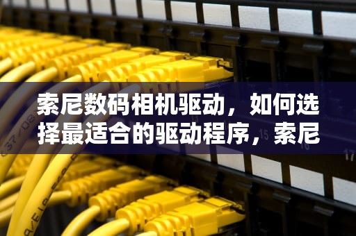 索尼数码相机驱动，如何选择最适合的驱动程序，索尼数码相机驱动怎么样