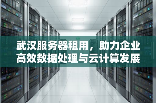 武汉服务器租用，助力企业高效数据处理与云计算发展，武汉服务器租用公司