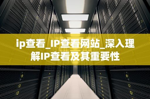 ip查看_IP查看网站_深入理解IP查看及其重要性