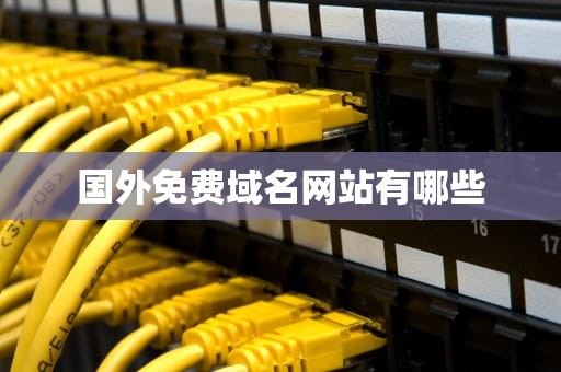 国外免费域名网站有哪些