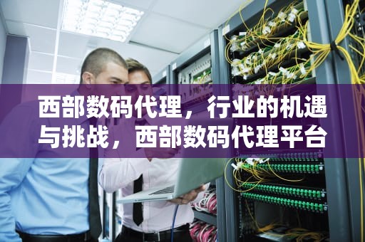 西部数码代理，行业的机遇与挑战，西部数码代理平台