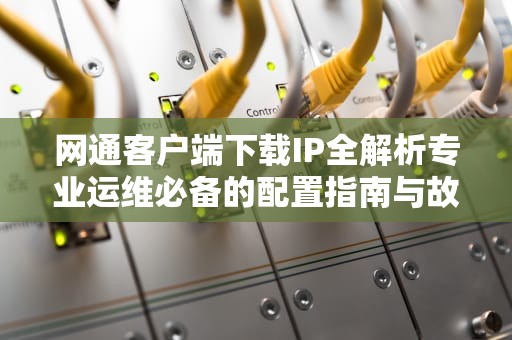 网通客户端下载IP全解析专业运维必备的配置指南与故障排查
