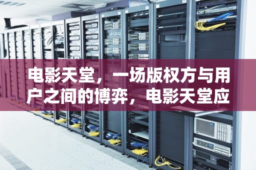 电影天堂，一场版权方与用户之间的博弈，电影天堂应版权方要求无法下载怎么办